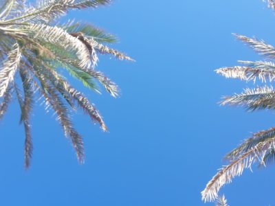 23.09.-29.09.2019 Marbella / Cabopino