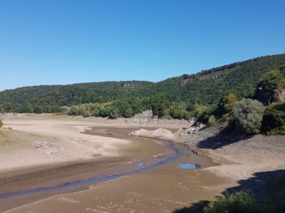 August 2020 – Gemünd (Nationalpark Eifel)