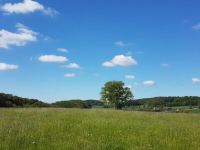 Mai 2021 – Lindlar (Bergisches Land)