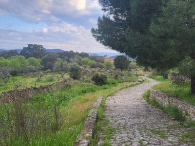 Elternzeit-Reise Teil 7 (Nazaré – Belvis de Monroy- Chinchilla de Monte-Aragón – Guardamar del Segura)